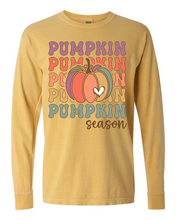 Load image into Gallery viewer, DTF0348 Pumpkin Pumpkin Pumpkin Season