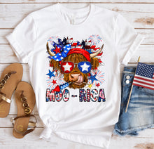 Load image into Gallery viewer, DTF0289- Moo-Rica Highland Cow