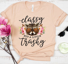 Load image into Gallery viewer, DTF0090 - Classy But A Little Trashy