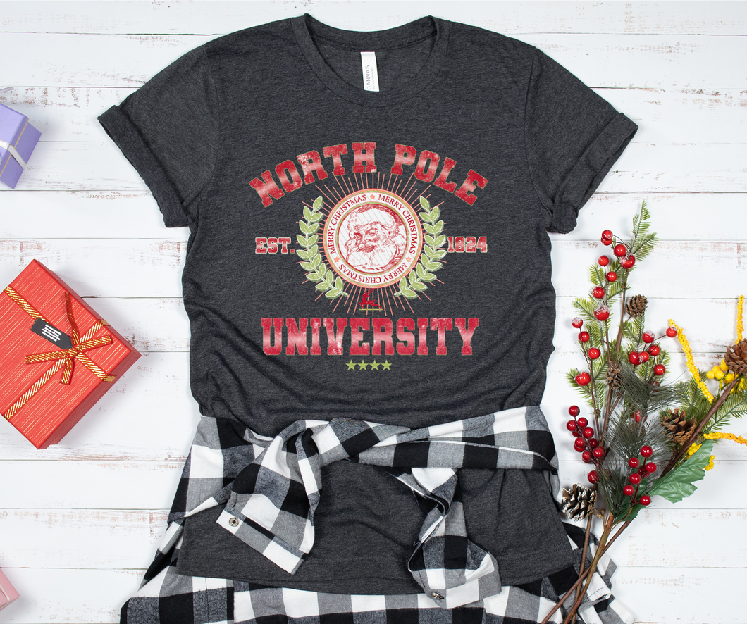 DTF0383 North Pole University