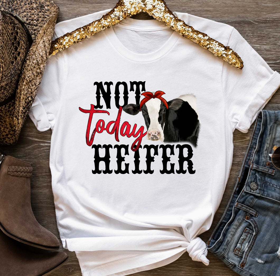 DTF0240- Not Today Heifer