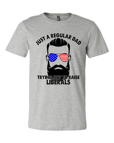 DTF0334 Just a Regular Dad Trying Not to Raise Liberals