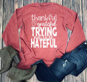733 thankful grateful trying not to be hateful
