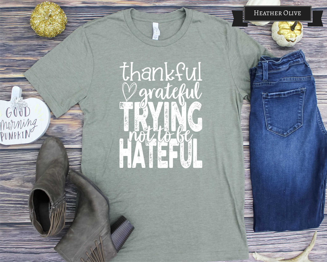 733 thankful grateful trying not to be hateful