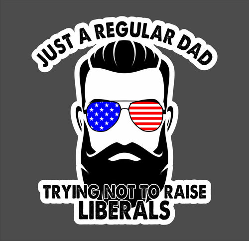 DECAL0038 Just a Regular Dad Trying Not to Raise Liberals Decal