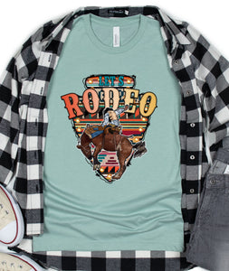 DTF0113 - Let's Rodeo Bronc Rider