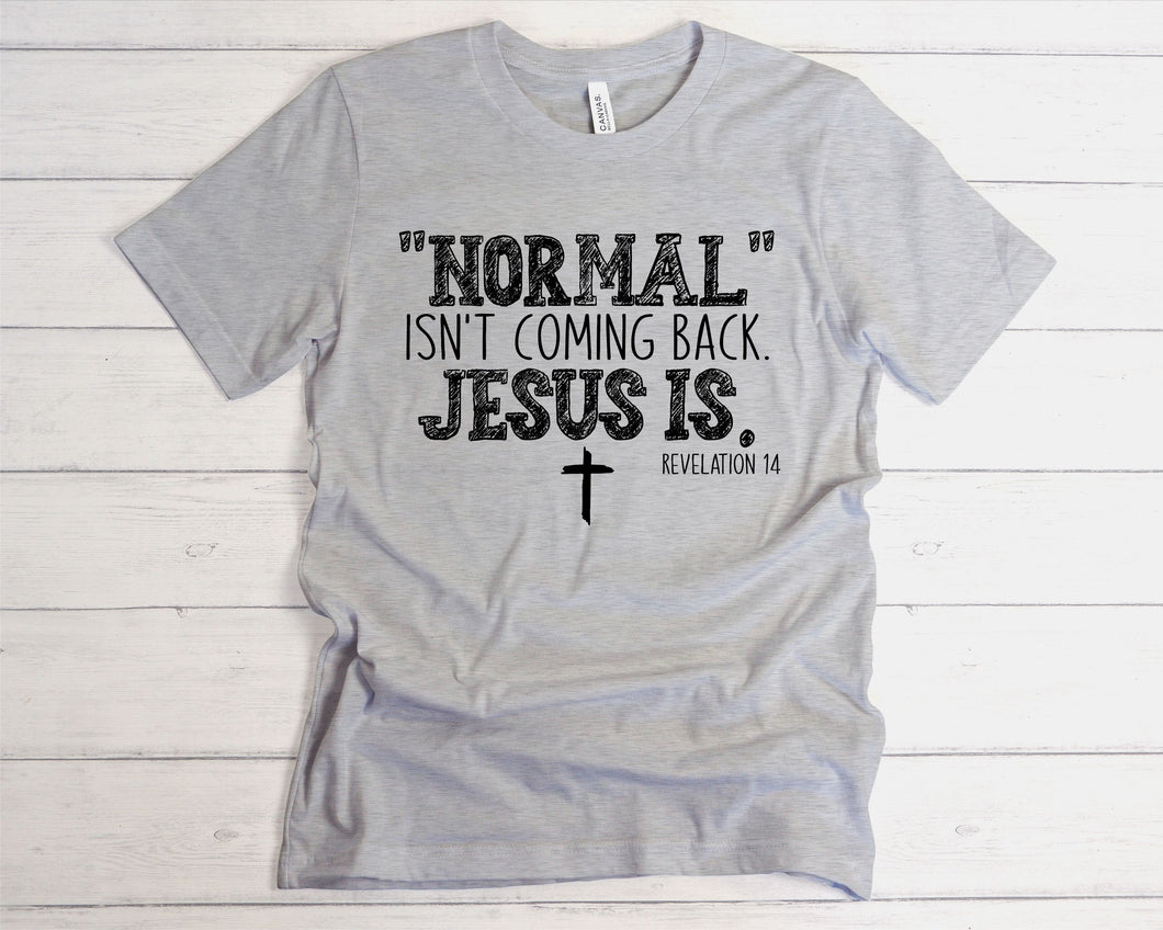 126 - Normal isn't coming back Jesus is. Revelation 14