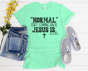 126 - Normal isn't coming back Jesus is. Revelation 14